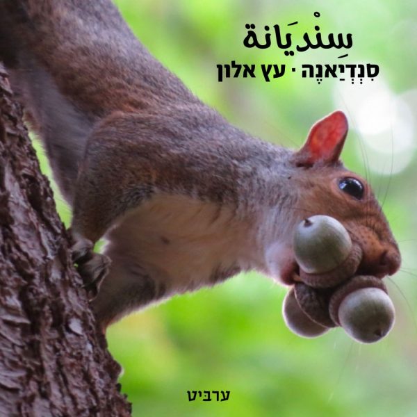 עץ אלון