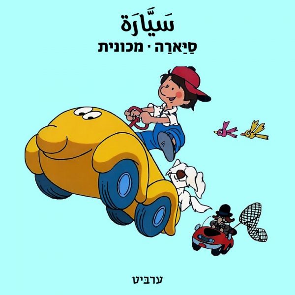 מכונית