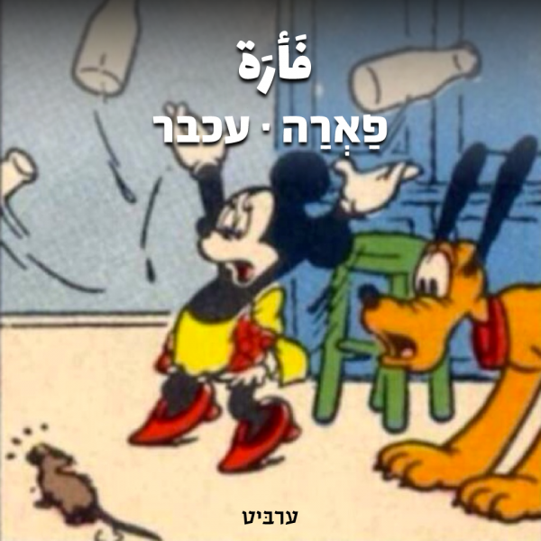 עכבר