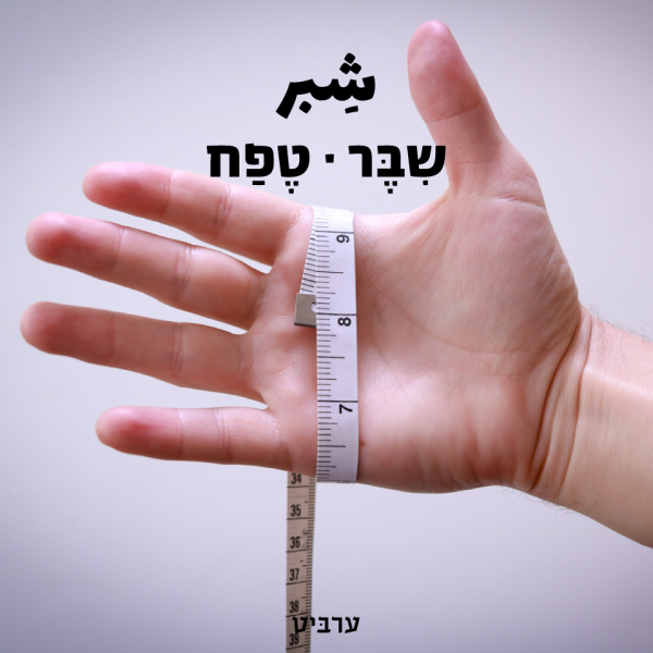 טֶפַח