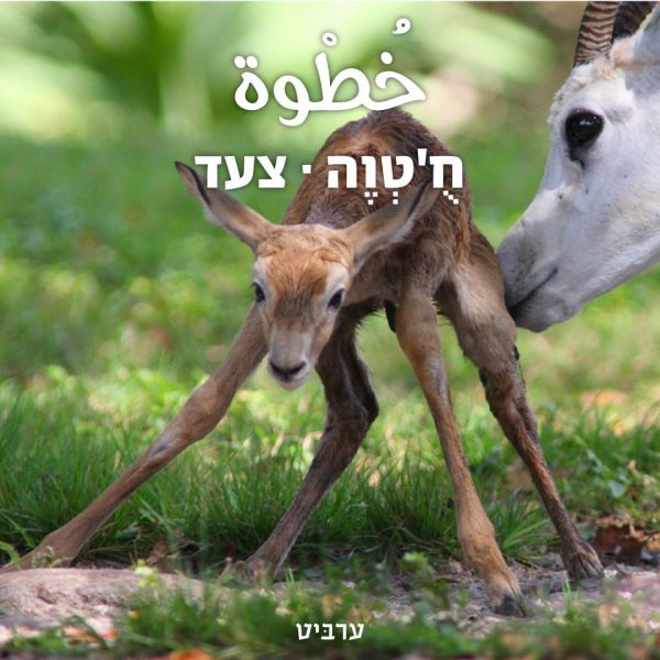 צעד