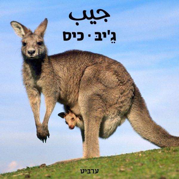 כיס