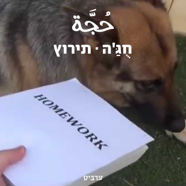 תירוץ