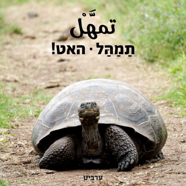 האט!