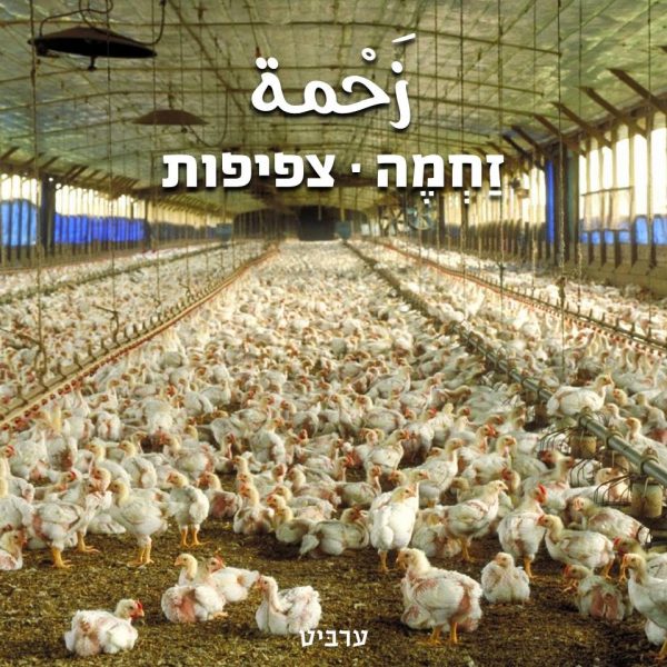 צפיפות