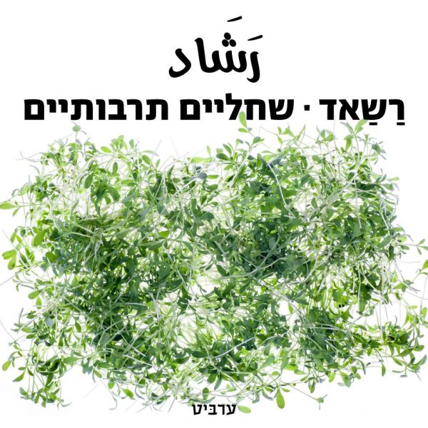 שחליים תרבותיים, רשאד