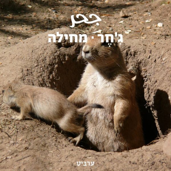 מחילה