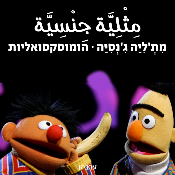 הומוסקסואליות