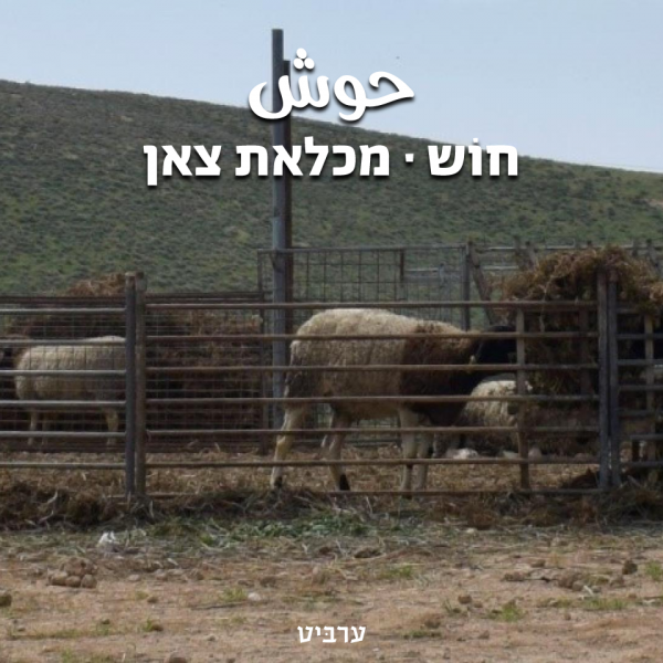 מכלאת צאן