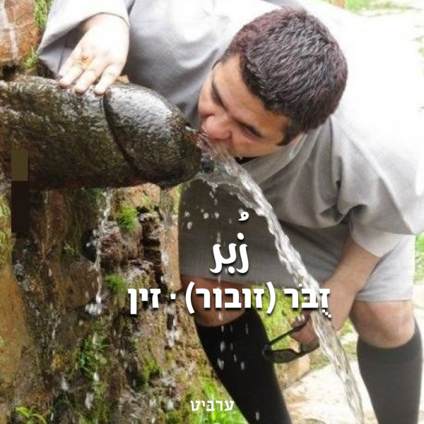 זובור, זין