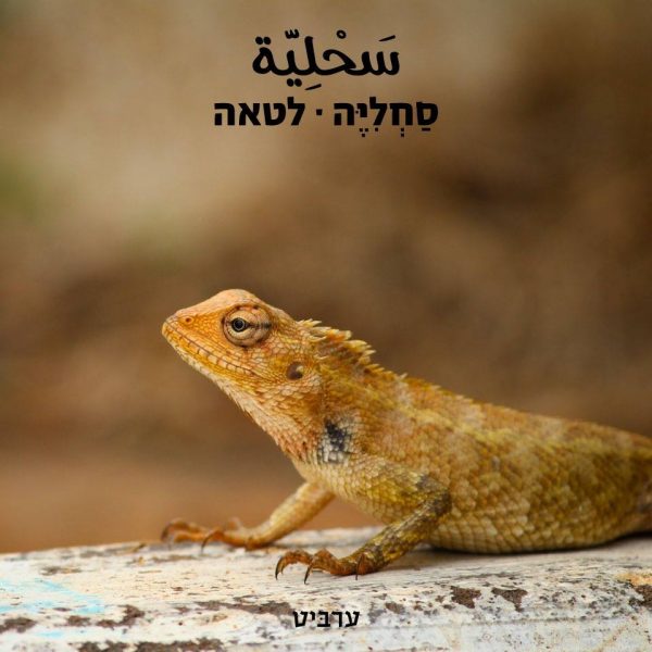 לטאה