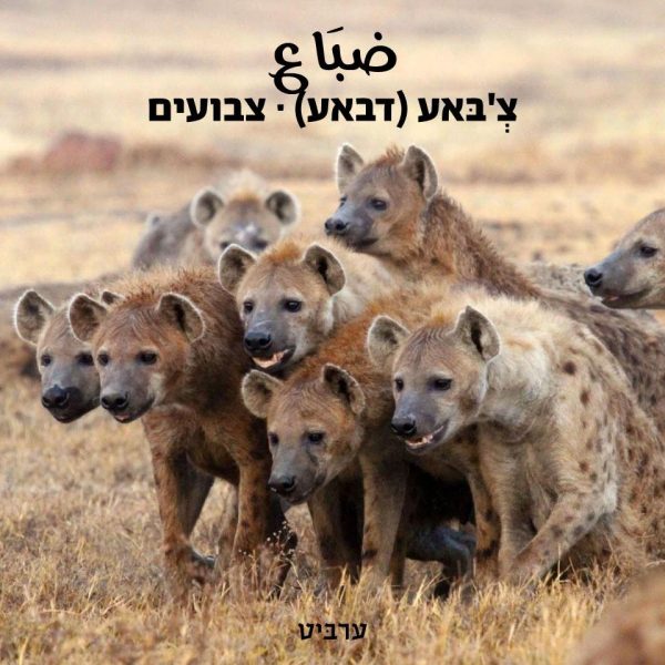 צבועים