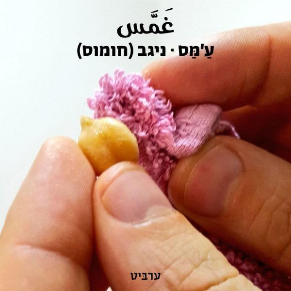 ניגב חומוס