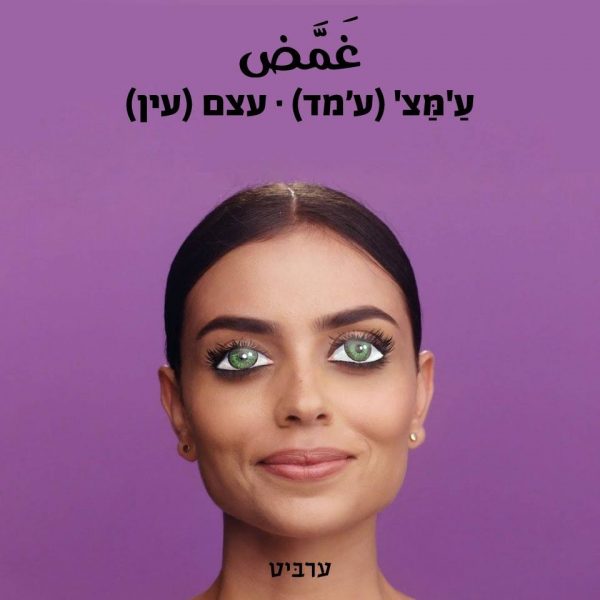 עצם עין