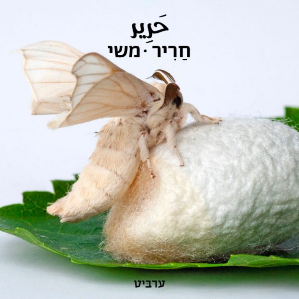 משי