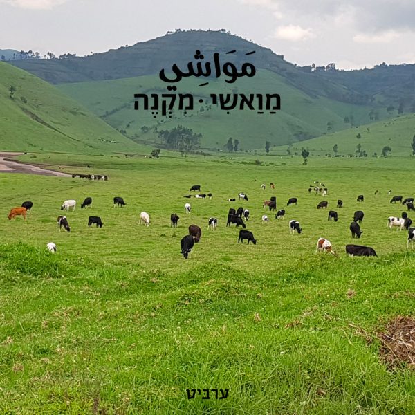 מקנה