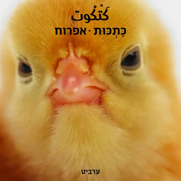 אפרוח