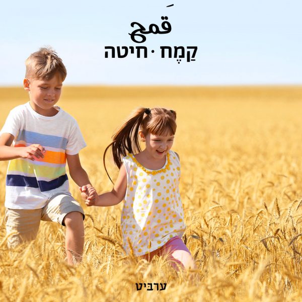 חיטה