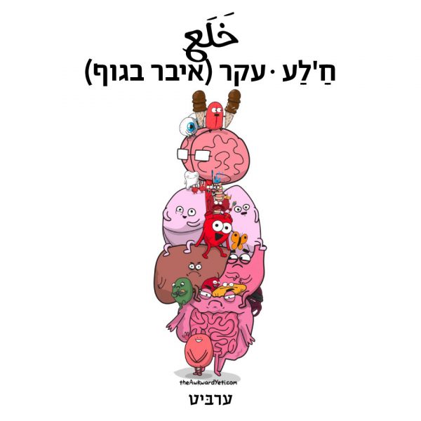 עקר (איבר בגוף)