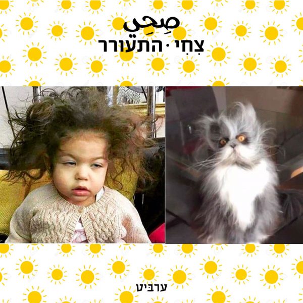התעורר