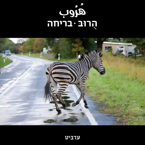 בריחה