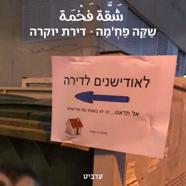 דירת יוקרה