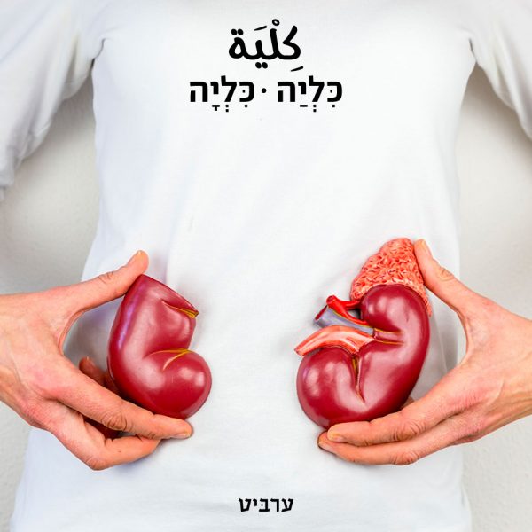 כליה