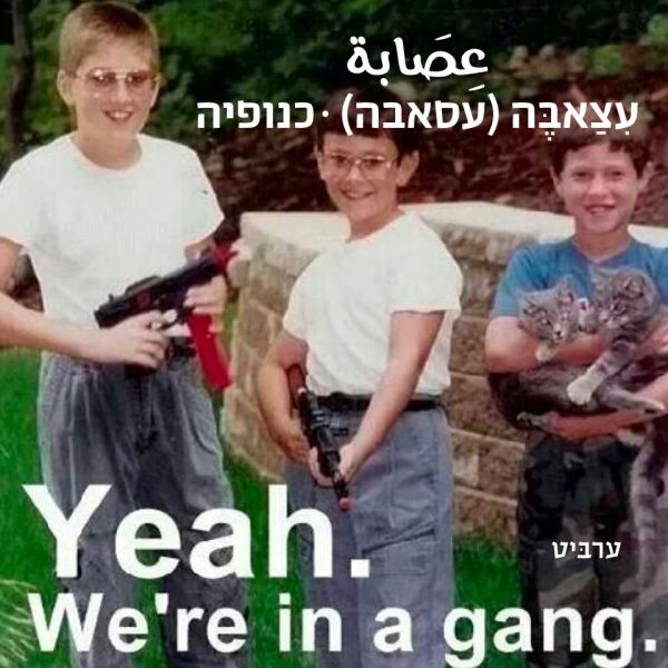 כנופיה