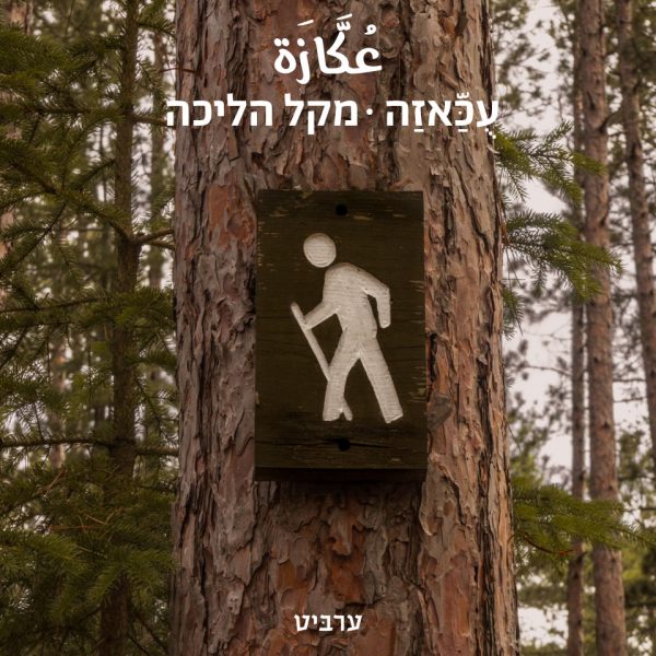 מקל הליכה