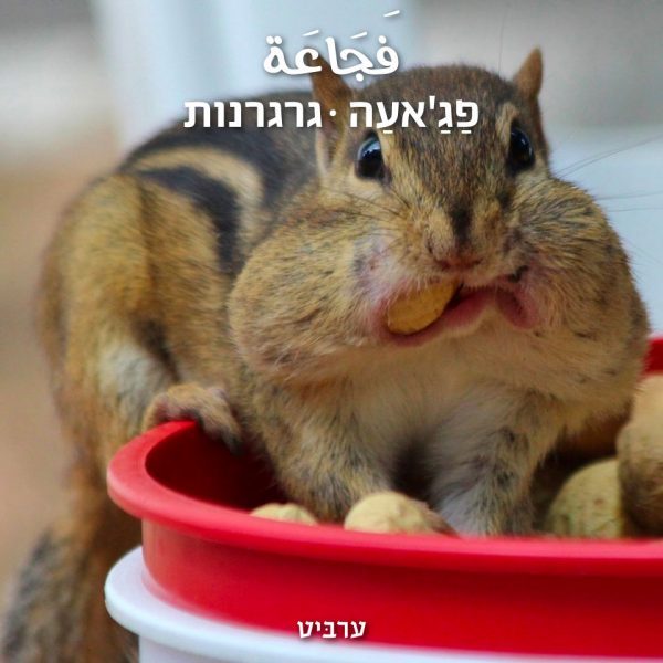 גרגרנות