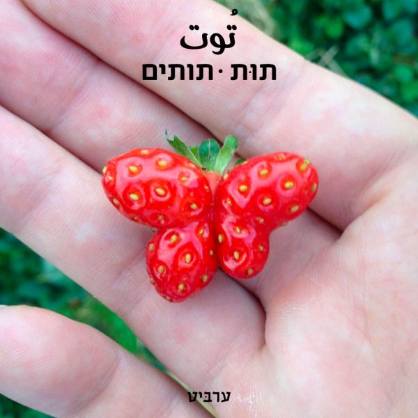 תותים