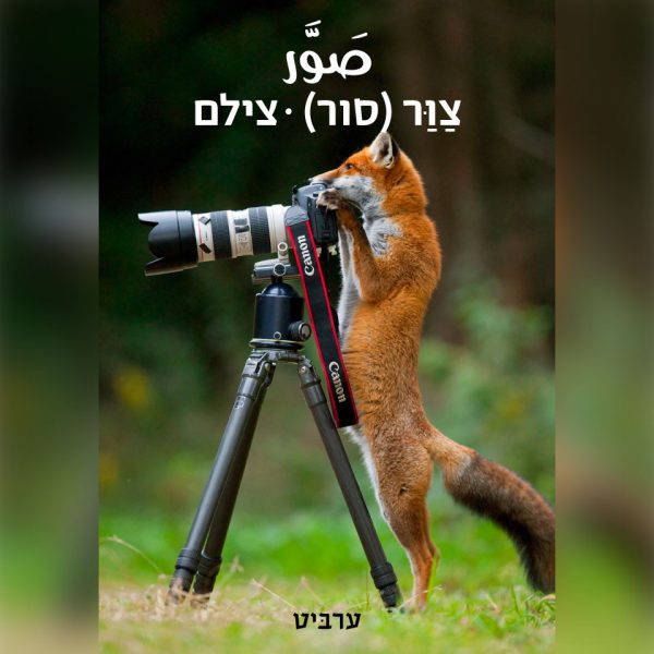 צילם