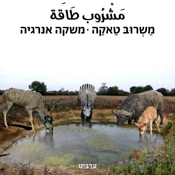 משקה אנרגיה