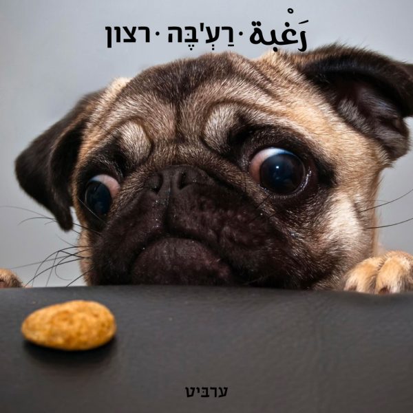 רצון