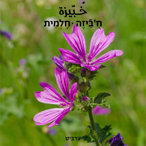 חלמית (ח’וביזה)