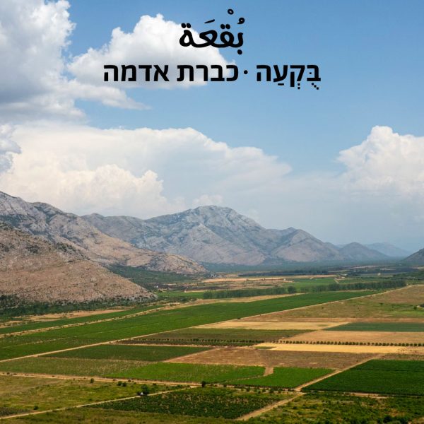 כברת אדמה