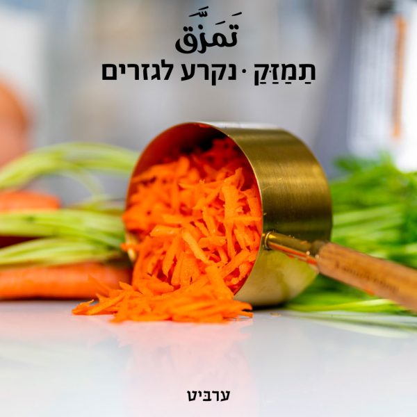 נקרע לגזרים