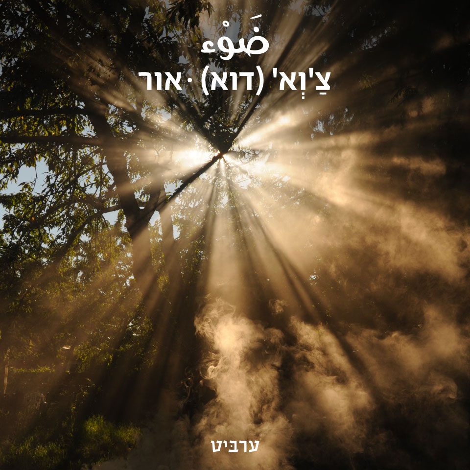 אור - ערביט