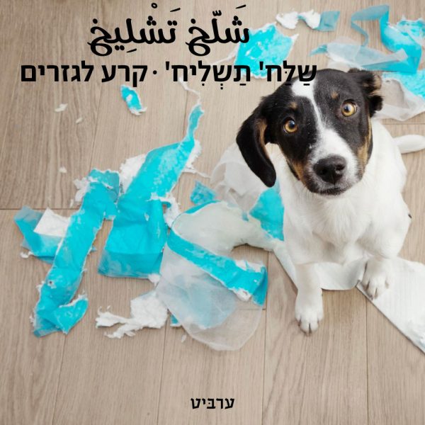 קרע לגזרים