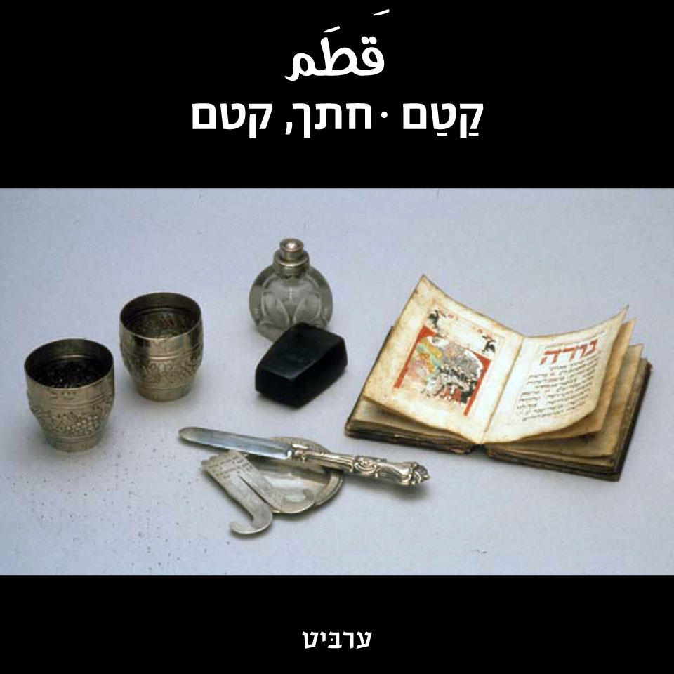 קטם - ערביט
