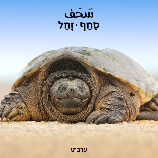 זחל