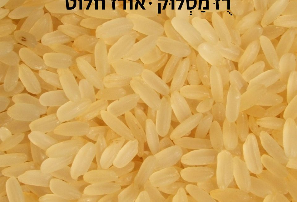אורז חלוט