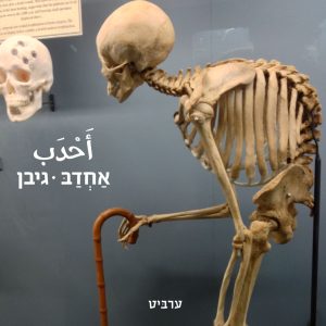 גיבן