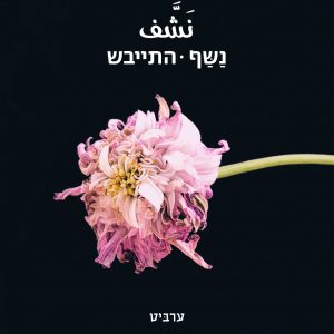 התייבש