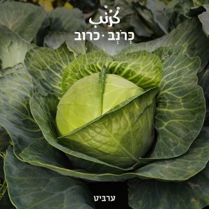 כרוב