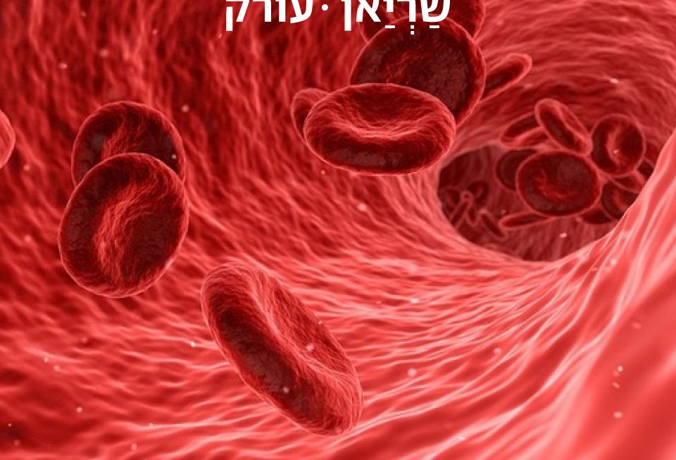 עורק