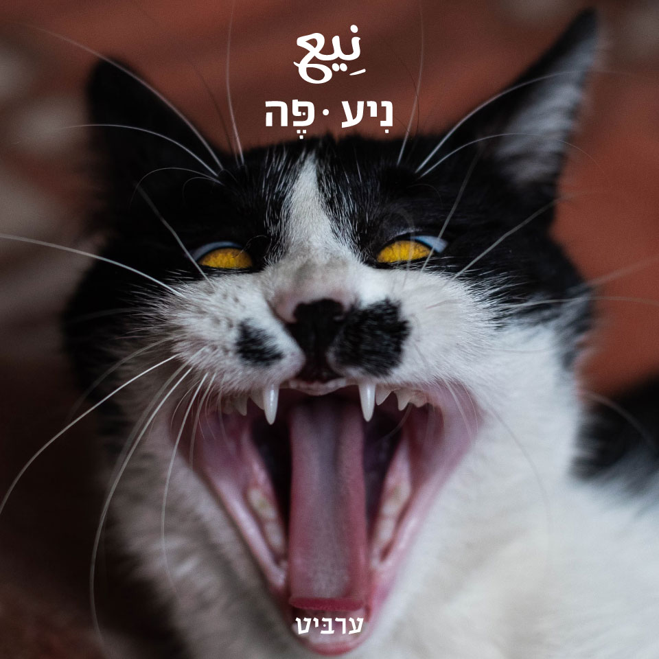 פה