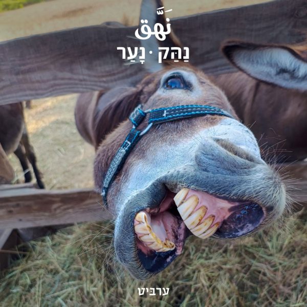 נער