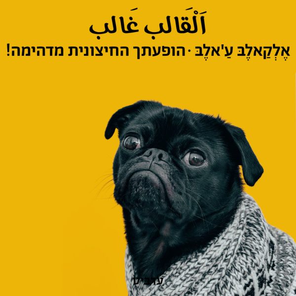 הופעתך החיצונית מדהימה!