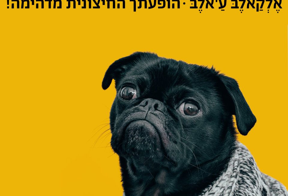 הופעתך החיצונית מדהימה